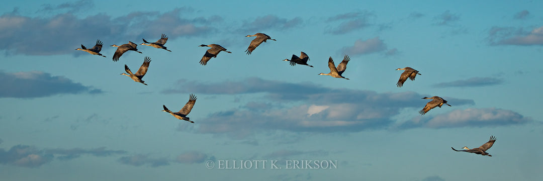 Morning Flight