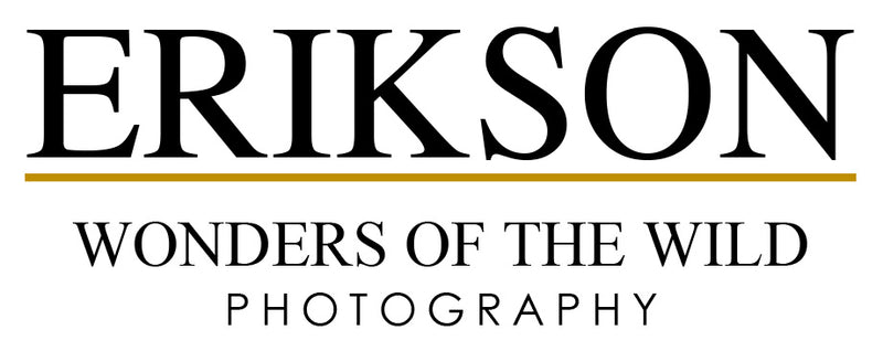 Erikson Photography, LLC
