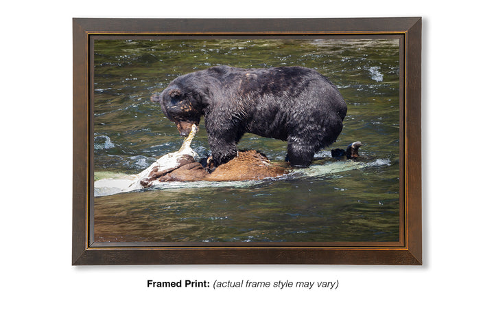 Lunchtime at LeHardy