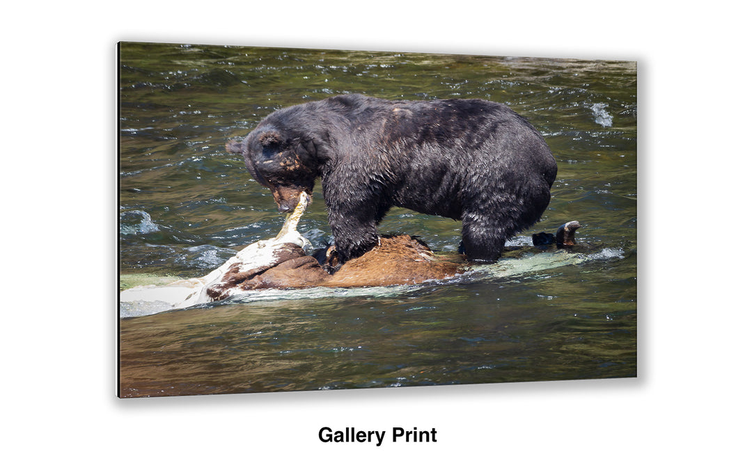 Lunchtime at LeHardy