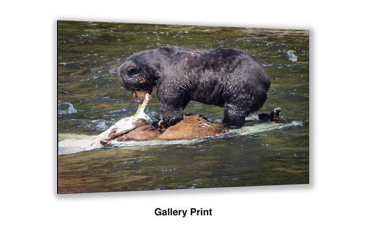 Lunchtime at LeHardy