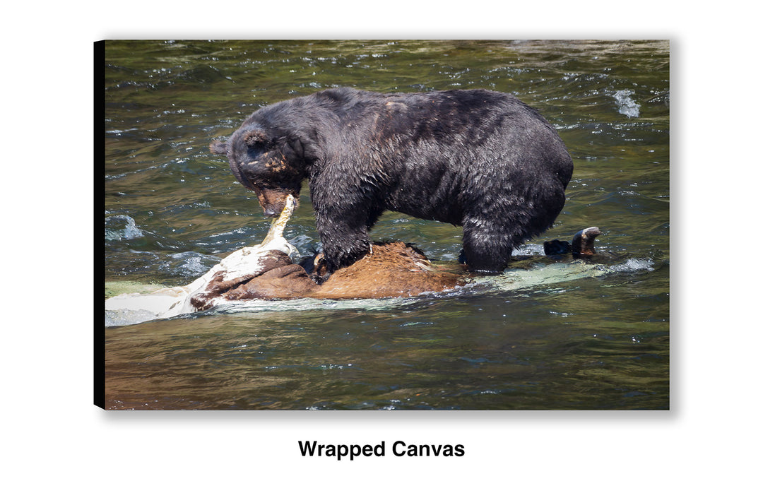 Lunchtime at LeHardy