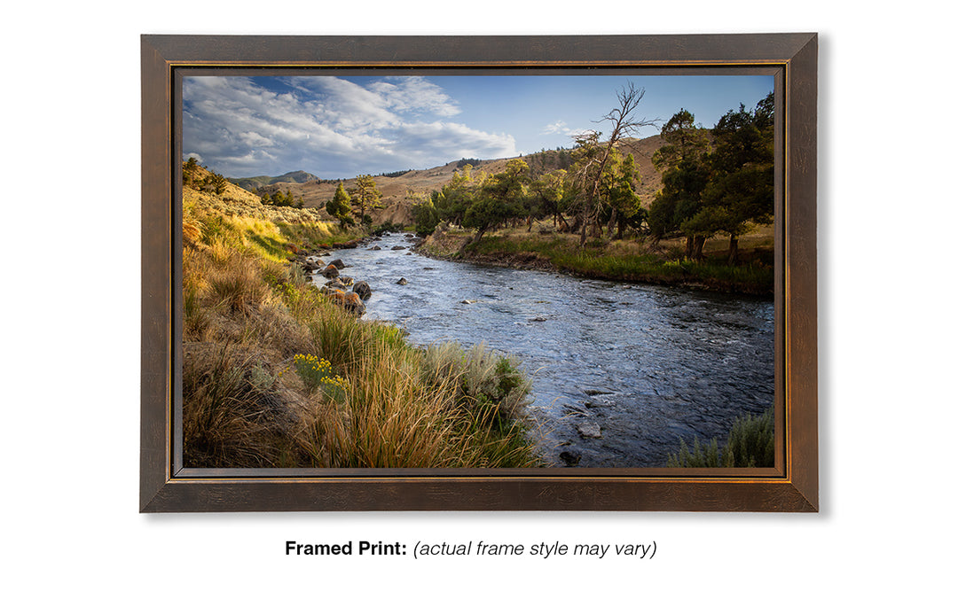 Gardner River Memories