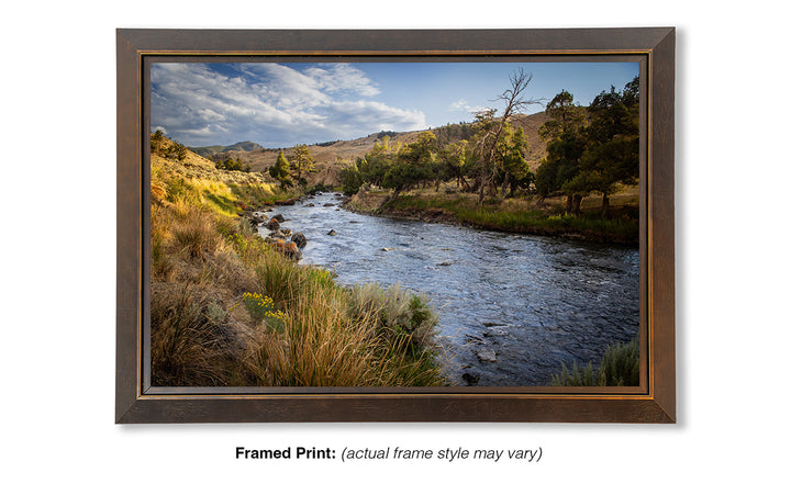 Gardner River Memories