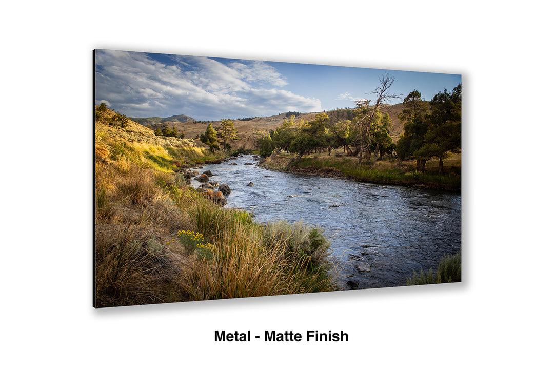 Gardner River Memories