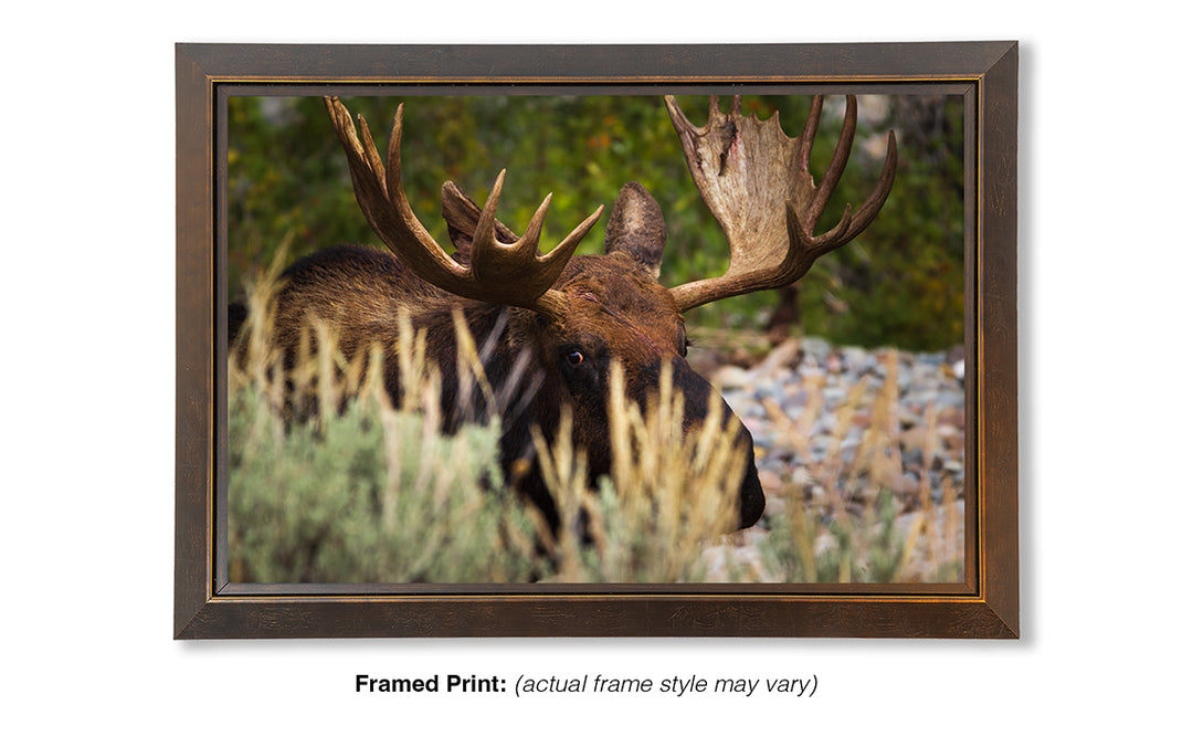 I'm Keeping My Eye on You