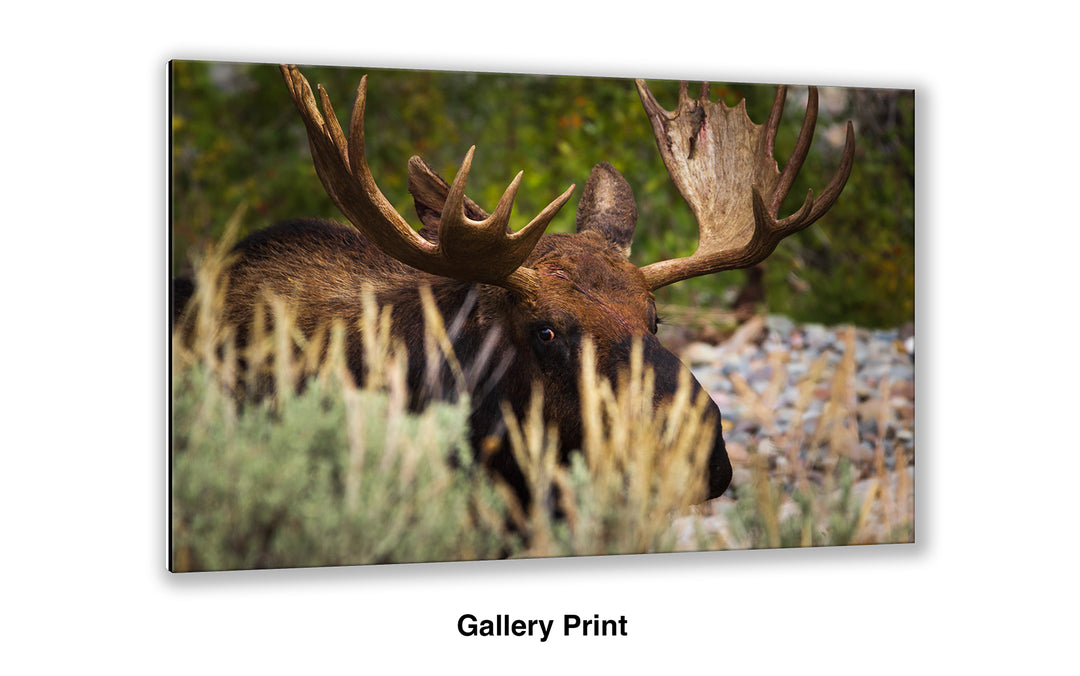 I'm Keeping My Eye on You