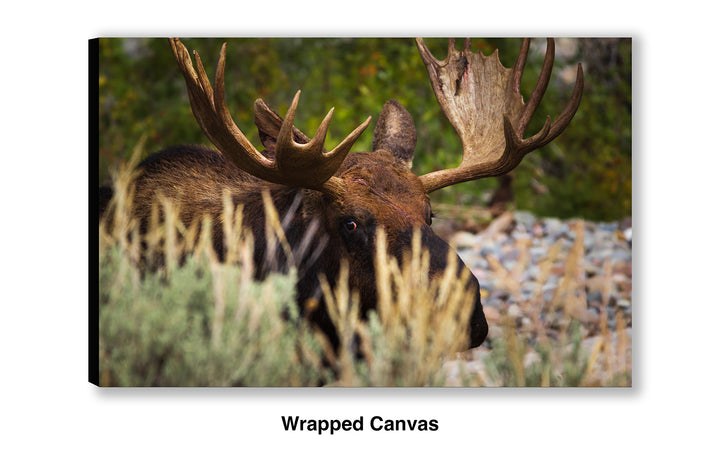 I'm Keeping My Eye on You