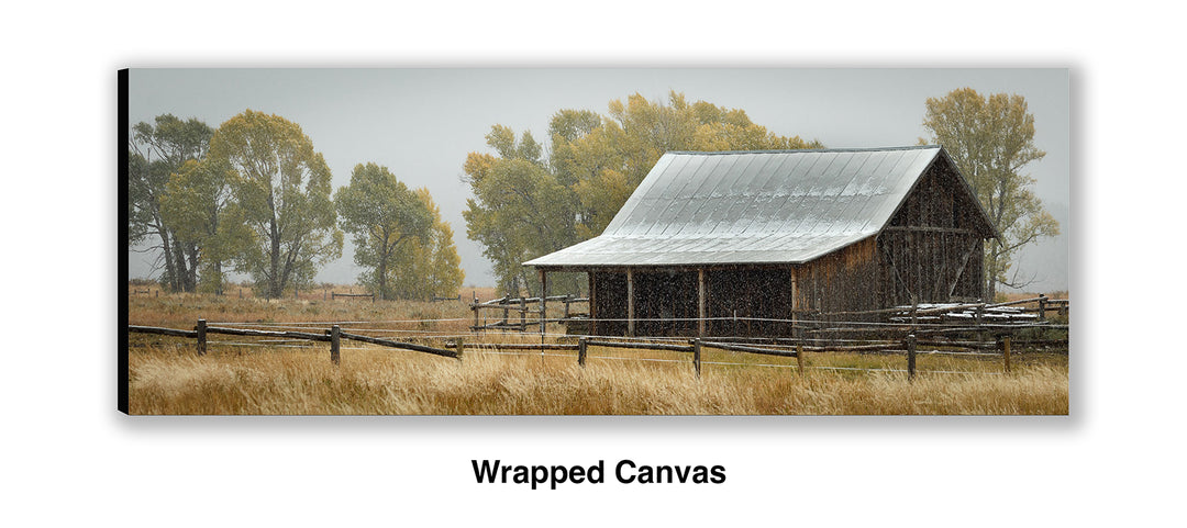 The Chill of an Early Fall