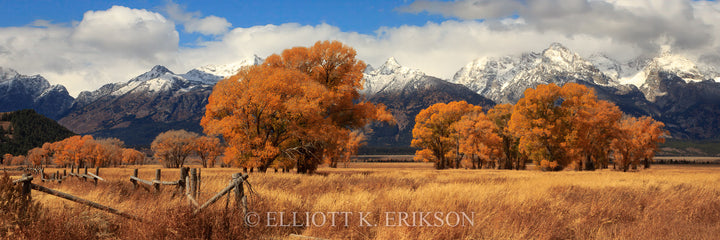 Autumn on Antelope Flats. Orange and brown autumn colors of grasses and cottonwood trees on Antelope Flats Grand Teton National Park.