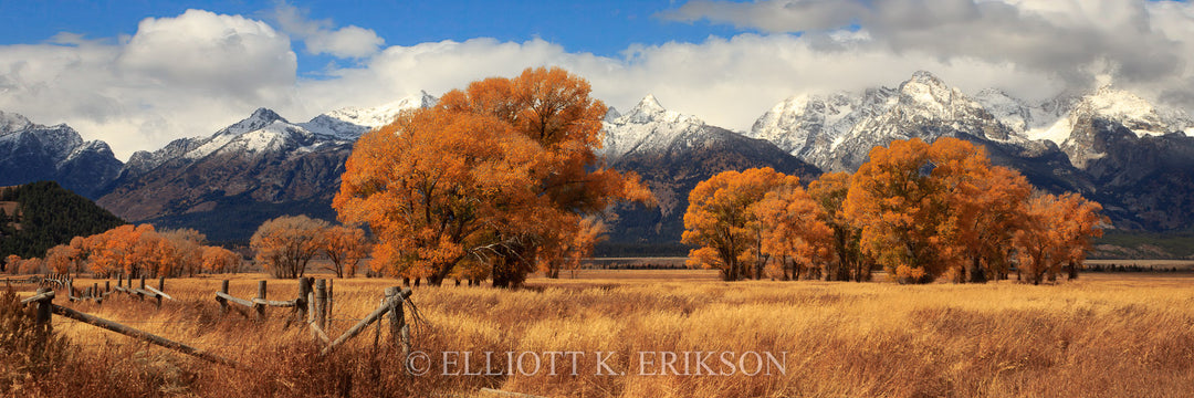 Autumn landscape of Antelope Flats with orange cottonwood trees and snow-capped Grand Teton mountain range in the background.