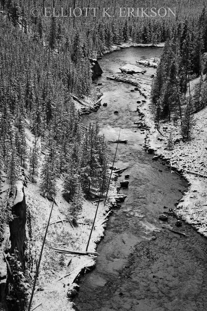 Temperature Drop. Snow along Gibbon River Yellowstone National Park.