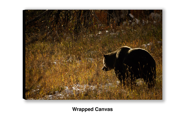 The Continuous Search