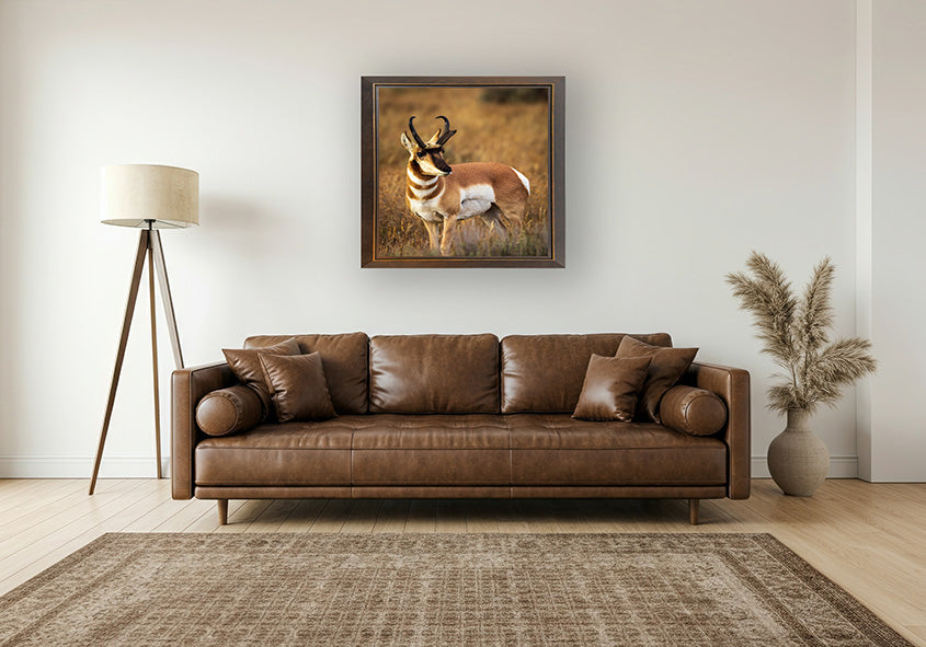 Prince of the Plains