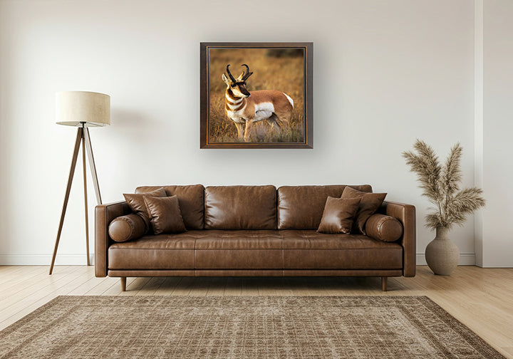 Prince of the Plains