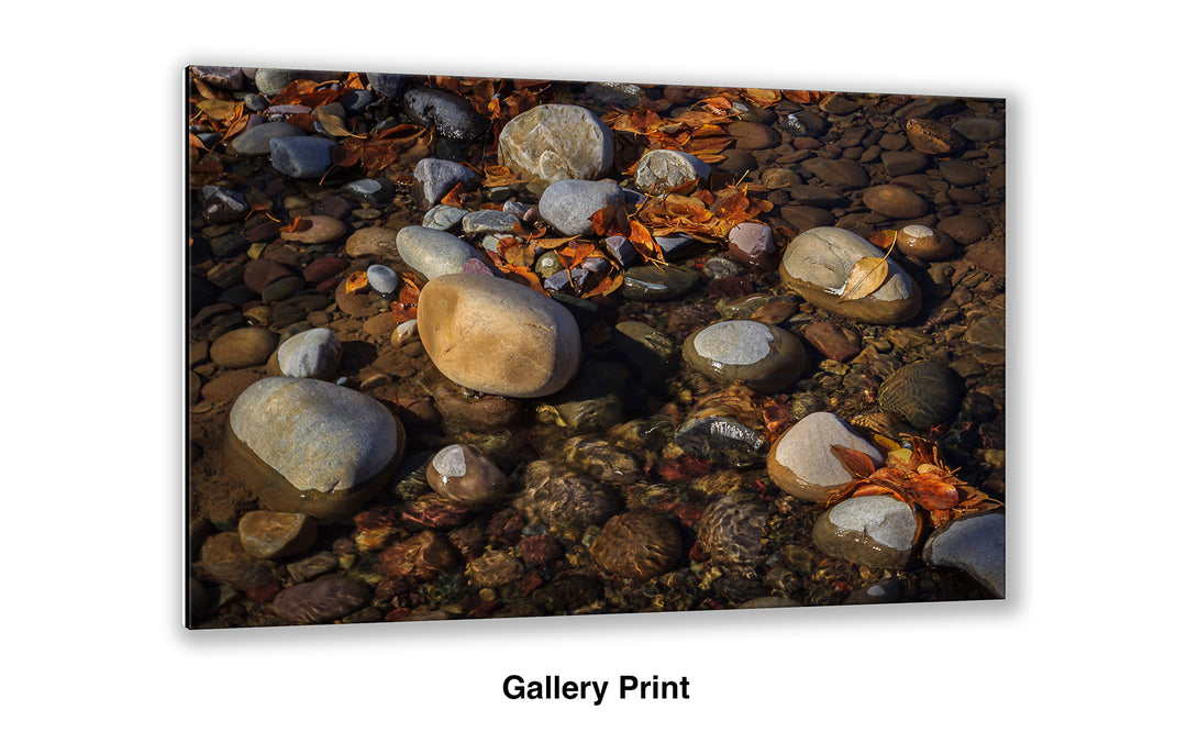 Another Autumn Passes By