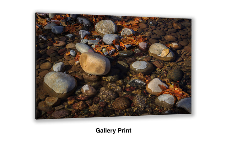 Another Autumn Passes By