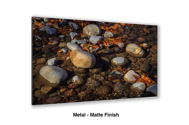 Another Autumn Passes By