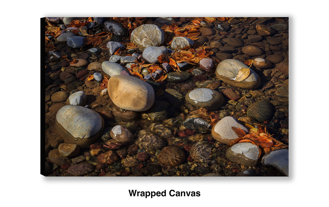 Another Autumn Passes By