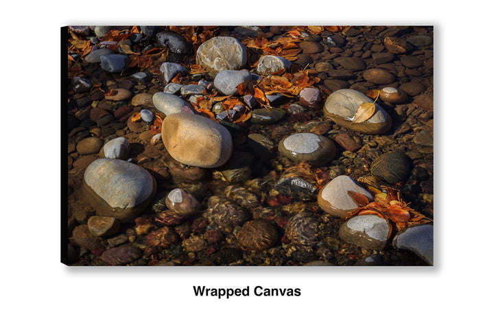 Another Autumn Passes By