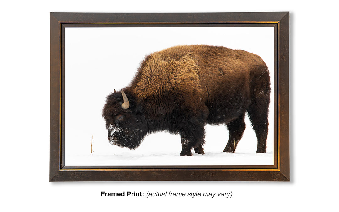 In the Bleak Midwinter