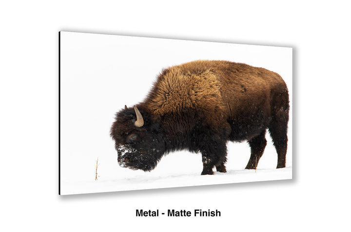 In the Bleak Midwinter