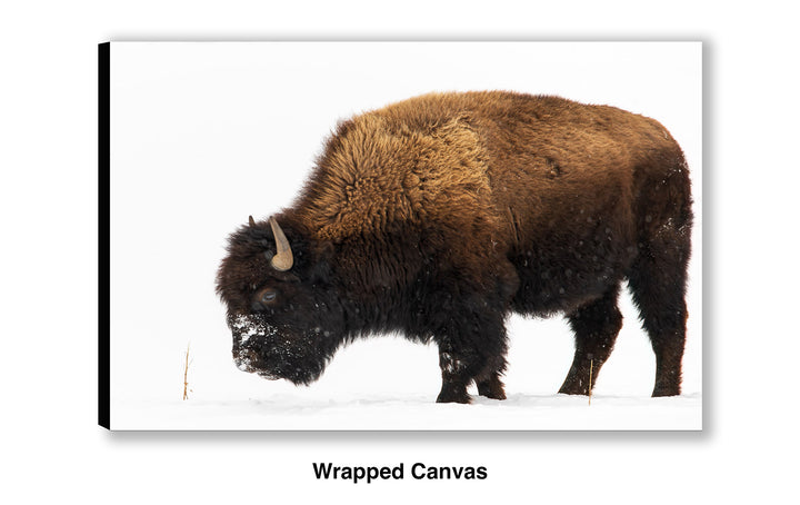 In the Bleak Midwinter