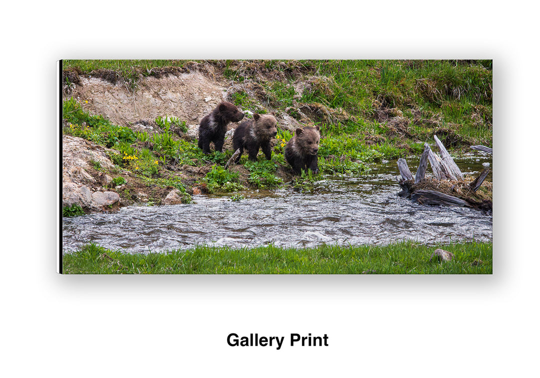 First Creek Crossing
