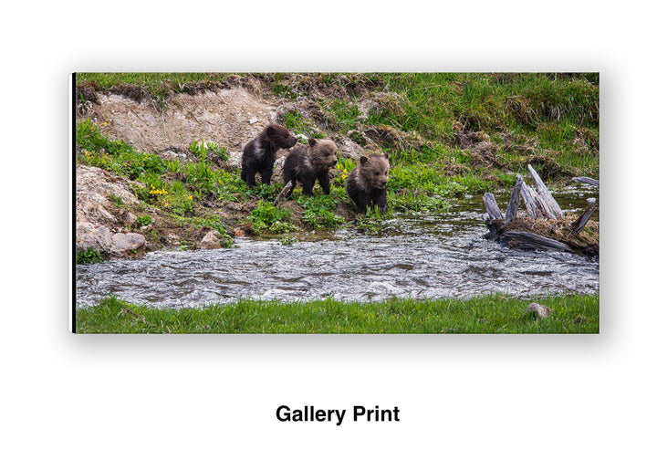 First Creek Crossing