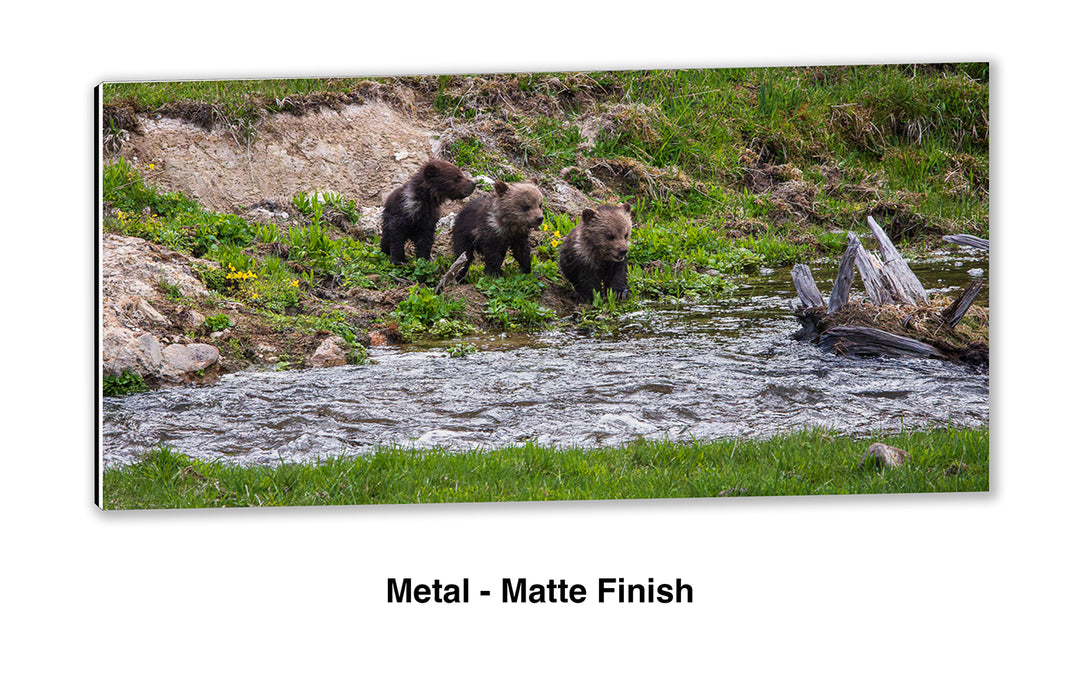 First Creek Crossing