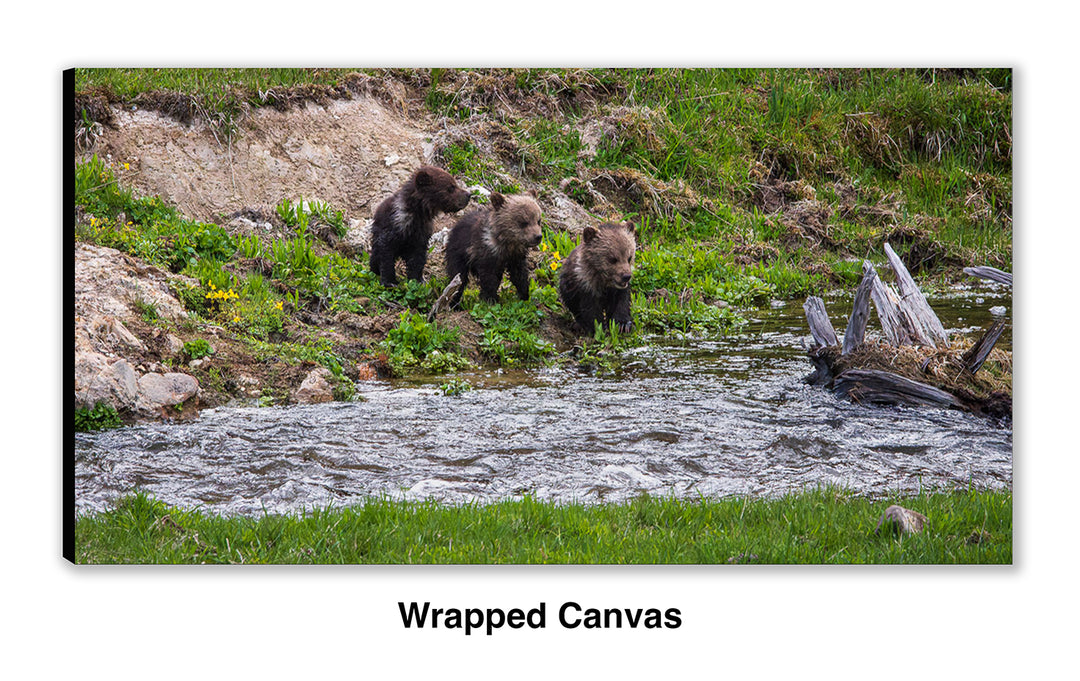 First Creek Crossing