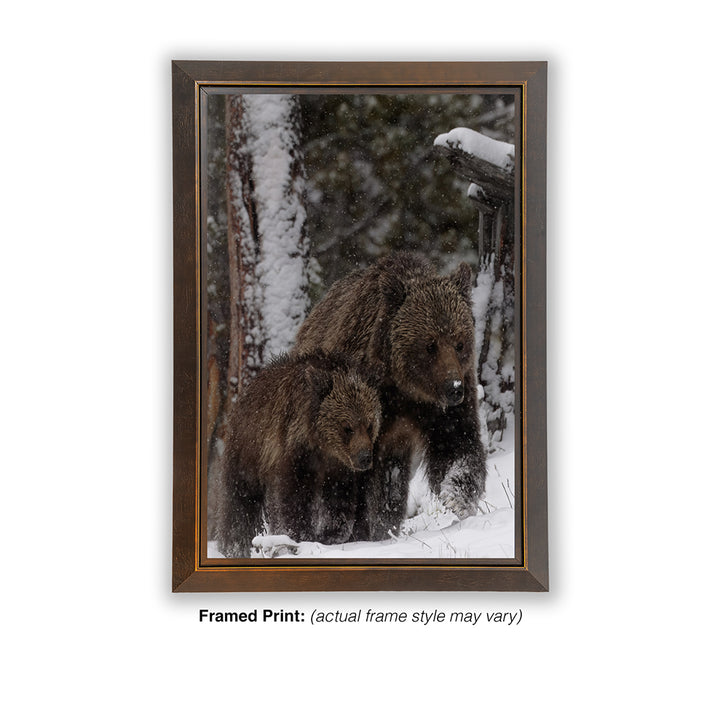 Stay Close – Obsidian & Cub