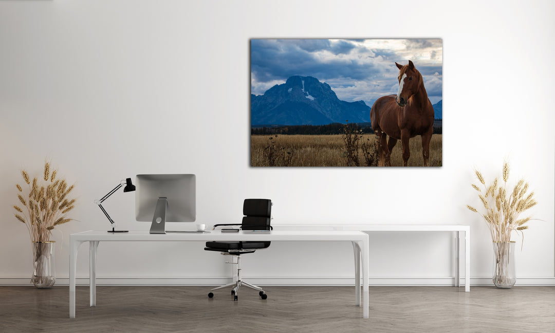 Mount Moran Horse Greeting