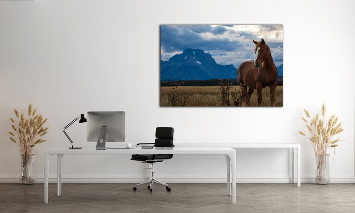Mount Moran Horse Greeting