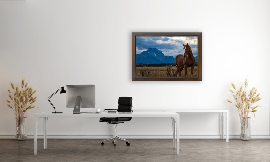 Mount Moran Horse Greeting