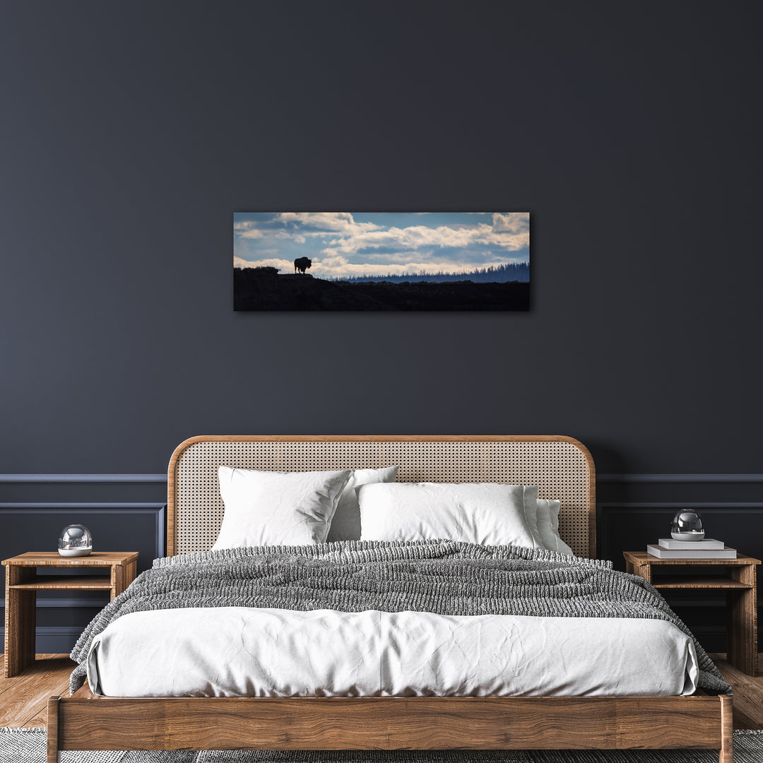 Hayden Valley Home