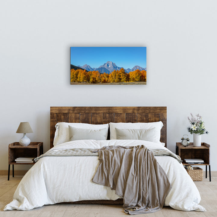 Mount Moran Overwatch