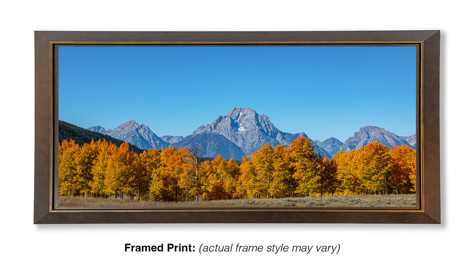 Mount Moran Overwatch