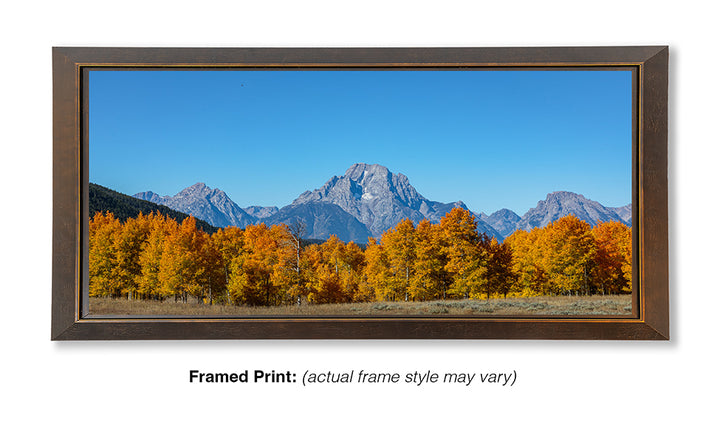 Mount Moran Overwatch