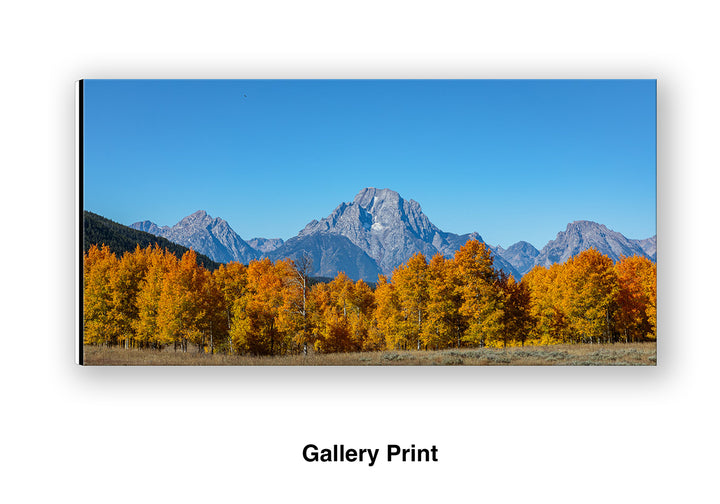 Mount Moran Overwatch