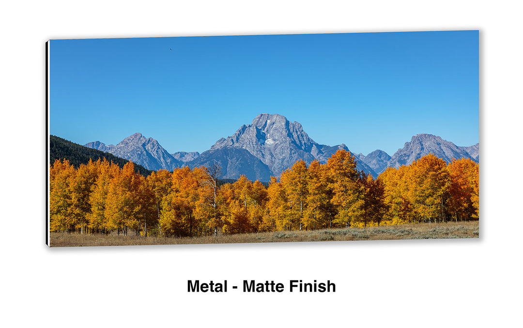 Mount Moran Overwatch