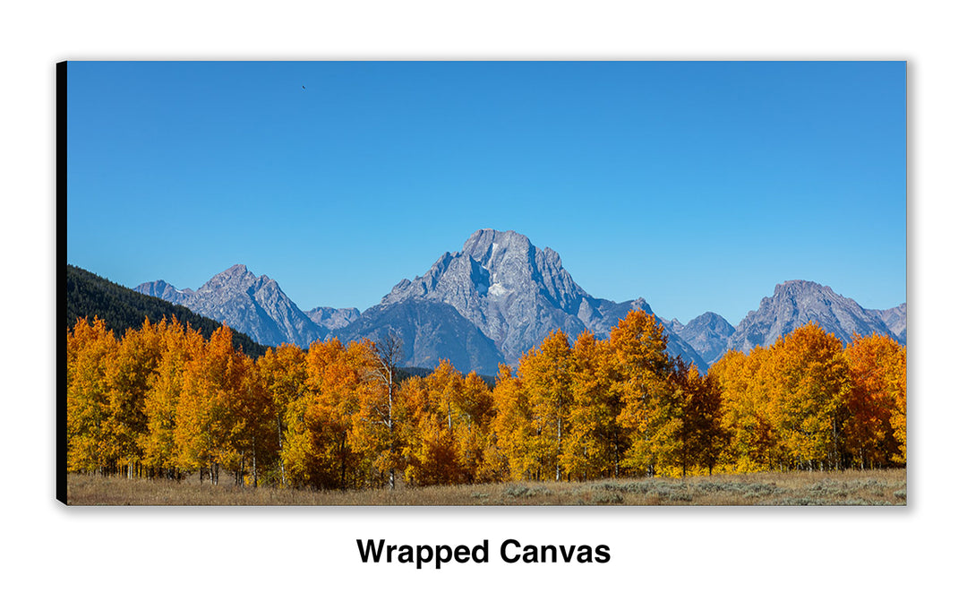 Mount Moran Overwatch