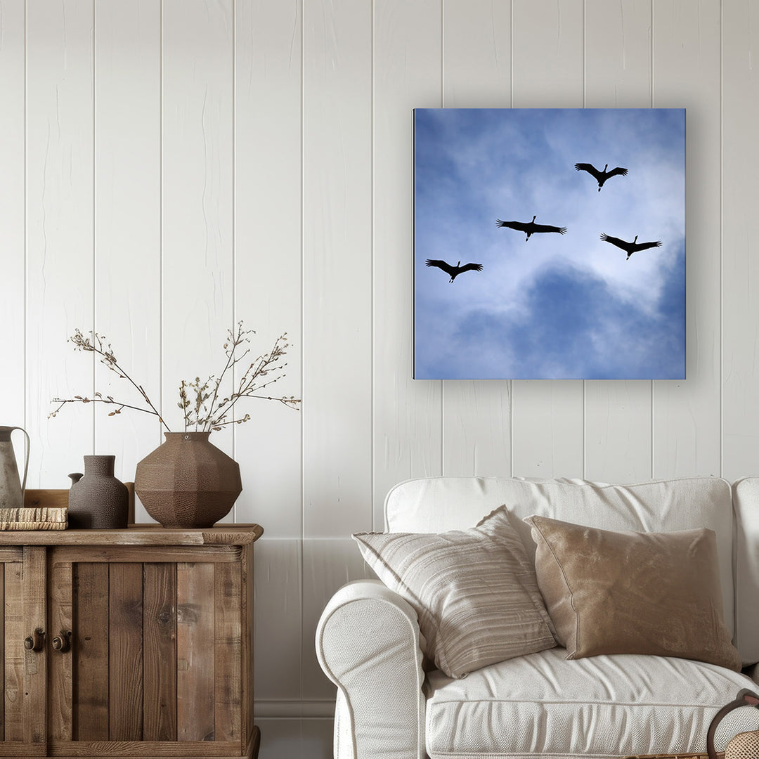 On a Wing and a Prayer