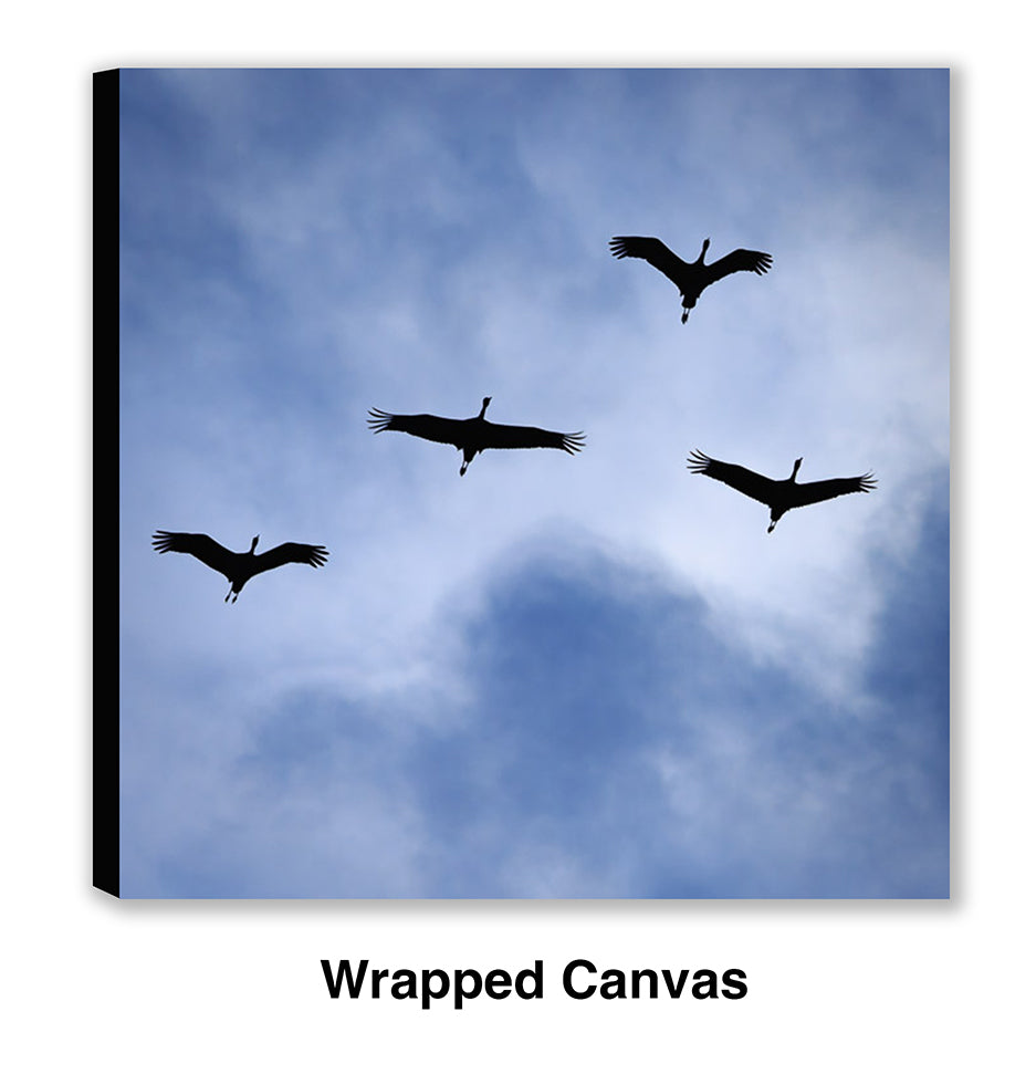 On a Wing and a Prayer