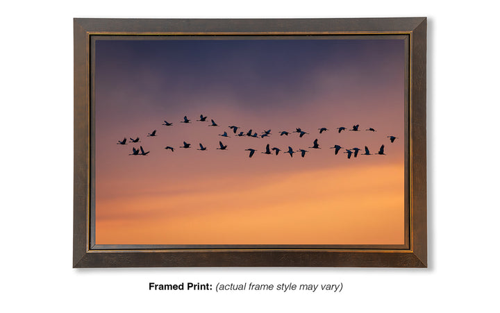 The Long Journey Home