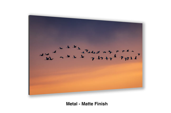 The Long Journey Home