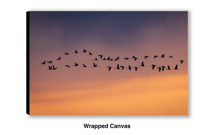 The Long Journey Home