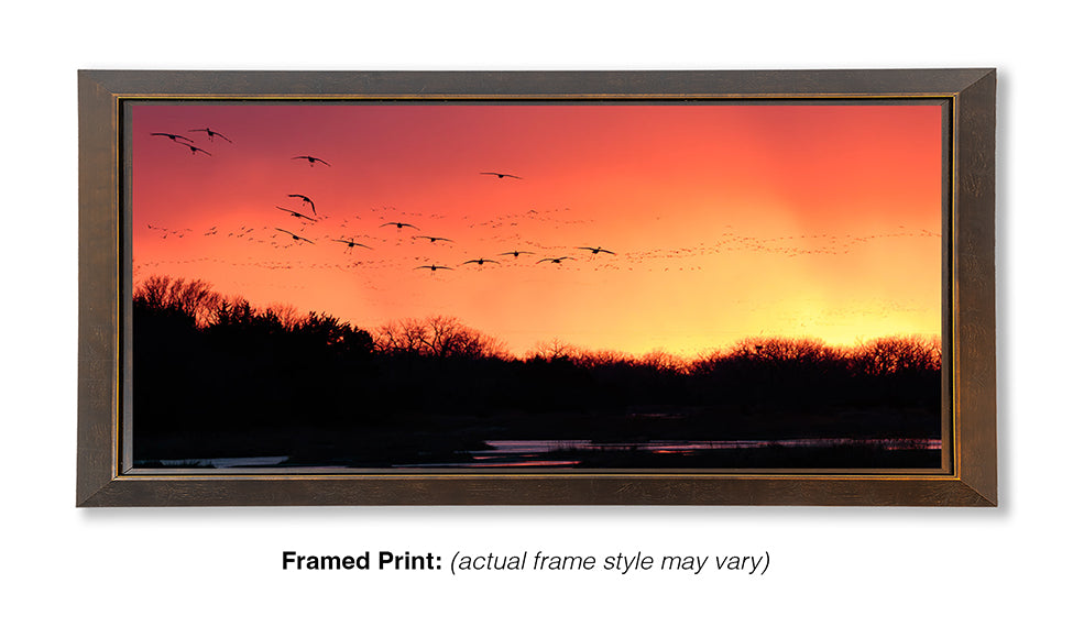 Platte River Sanctuary