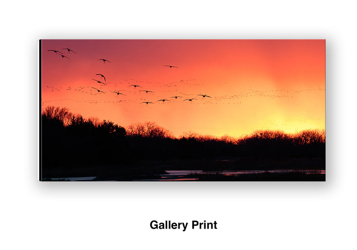 Platte River Sanctuary