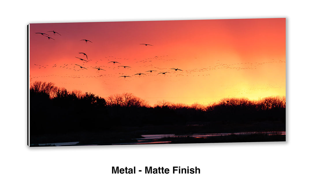 Platte River Sanctuary